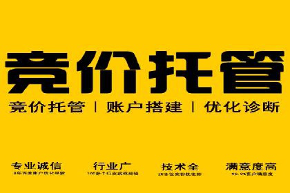 网站sem托管服务提供商的成功案例分析